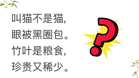 图片2：课程内容.png