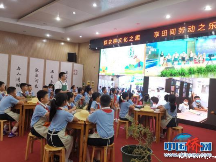 QQ截图20220706085535.png