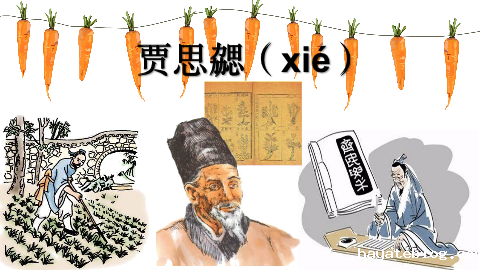 图片2：课程内容.png