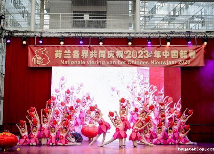 QQ截图20230130092532.jpg