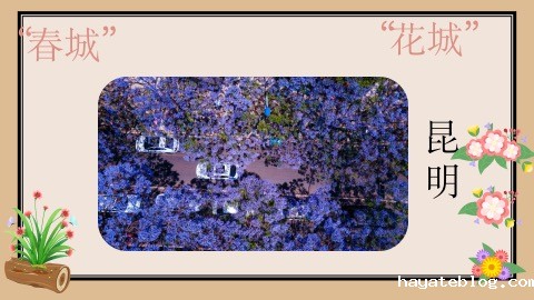 图2：课程内容.jpg
