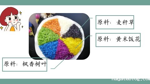 图2：课程内容.jpg